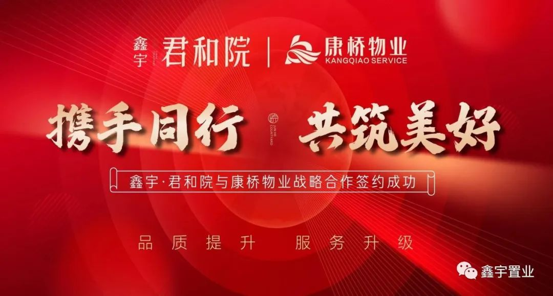 图片12